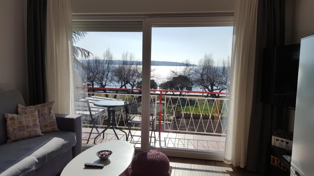 Apartman Luka Novigrad  Exterior photo