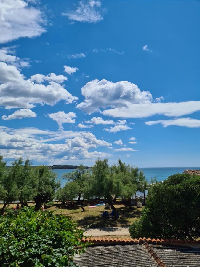 Apartman Luka Novigrad  Exterior photo