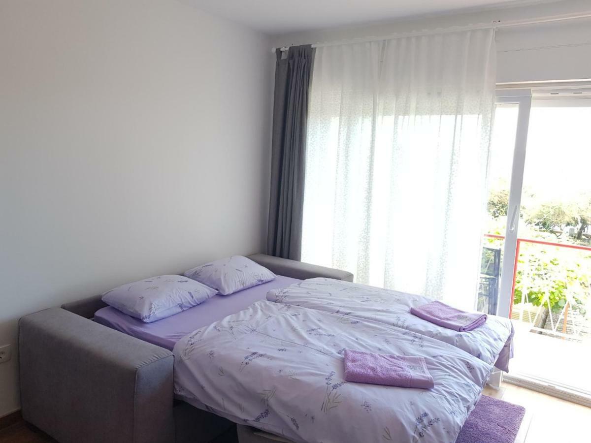 Apartman Luka Novigrad  Exterior photo